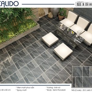 Gạch Calido 60x60cm 3170
