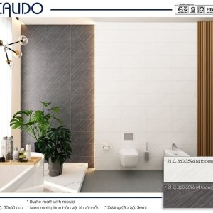 Gạch Calido 30x60cm