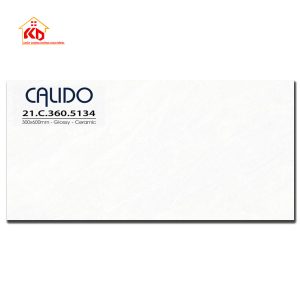 Gạch Calido 30x60cm 5134