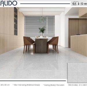 Gạch Calido 60x60cm 5606