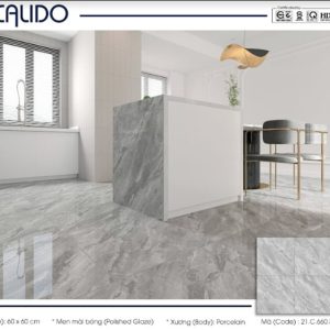 Gạch Calido 60x60cm 5608