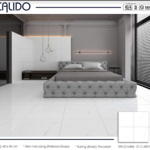 Gạch Calido 60x60cm 5609