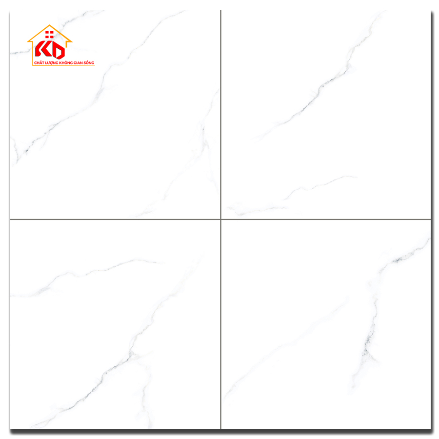 Gạch Calido 60x60cm 5609