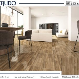 Gạch Calido 60x60cm 5610