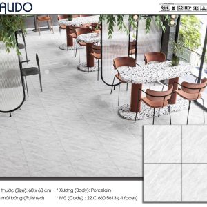 Gạch Calido 60x60cm 5613