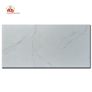 Gạch Viglacera 60x120cm AZ6-GP-61201