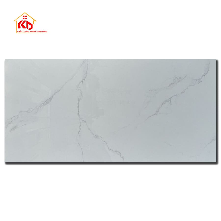 Gạch Viglacera 60x120cm AZ6-GP-61201