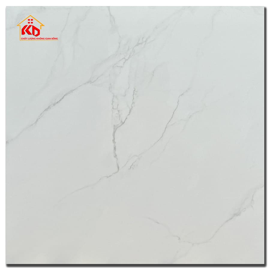 Gạch Viglacera 60x60cm AZ6-GP-6601