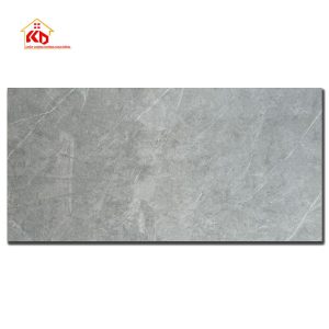 Gạch Viglacera 60x120cm AZ8-GP-61202