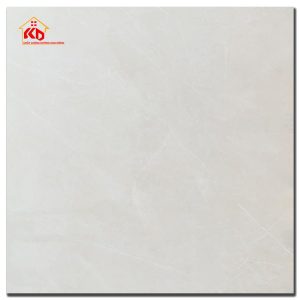 Gạch Viglacera 60x60cm AZ8-GP-6604