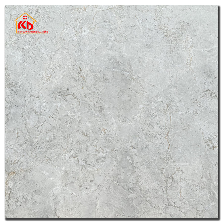 Gạch Viglacera 60x60cm AZ9-GP-6601