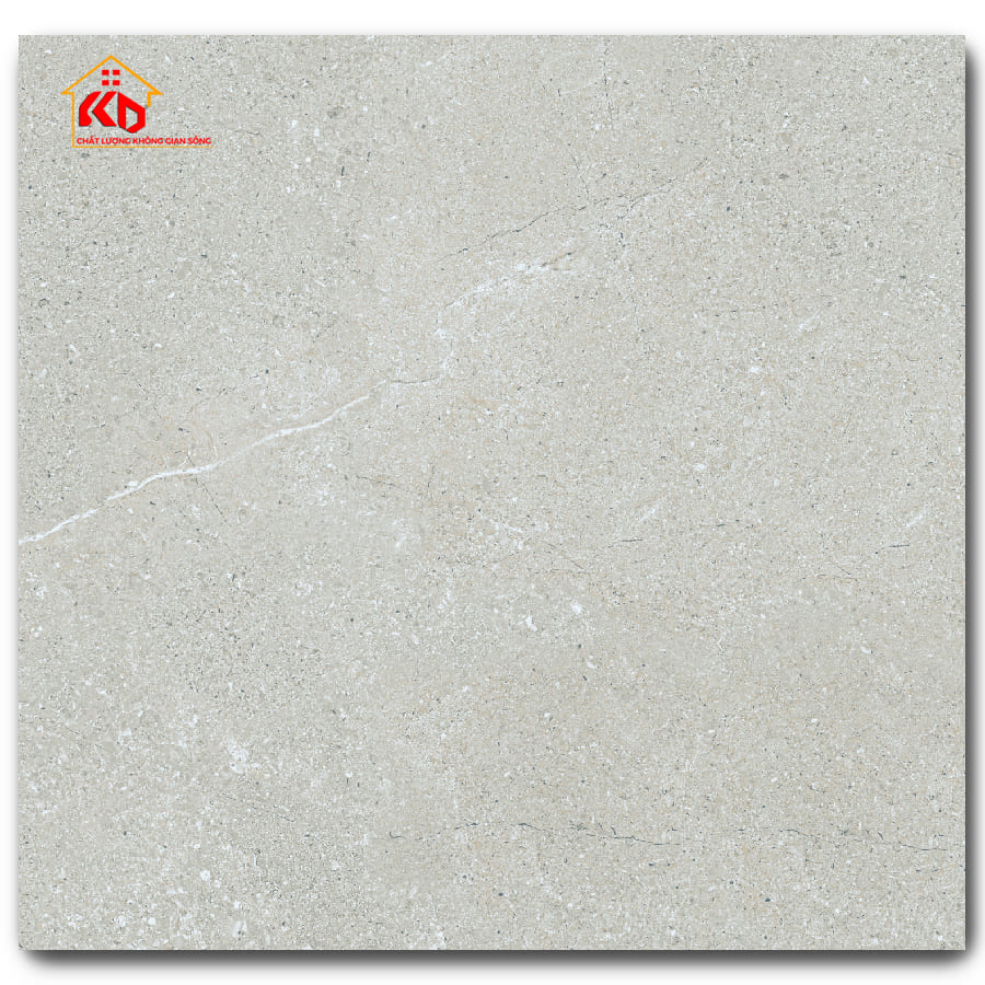 Gạch Eurotile 60x60cm NGC H02
