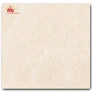 Gạch Eurotile 60x60cm NGC H04