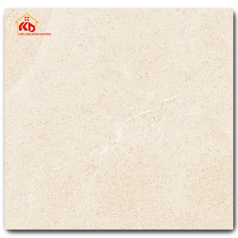 Gạch Eurotile 60x60cm NGC H04