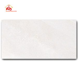 Gạch Eurotile 45x90cm NGC I01
