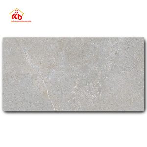 Gạch Eurotile 45x90cm NGC I03