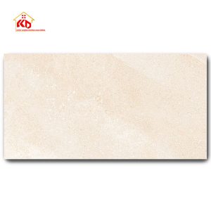 Gạch Eurotile 45x90cm NGC I04
