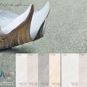 Gạch Eurotile 45x90cm