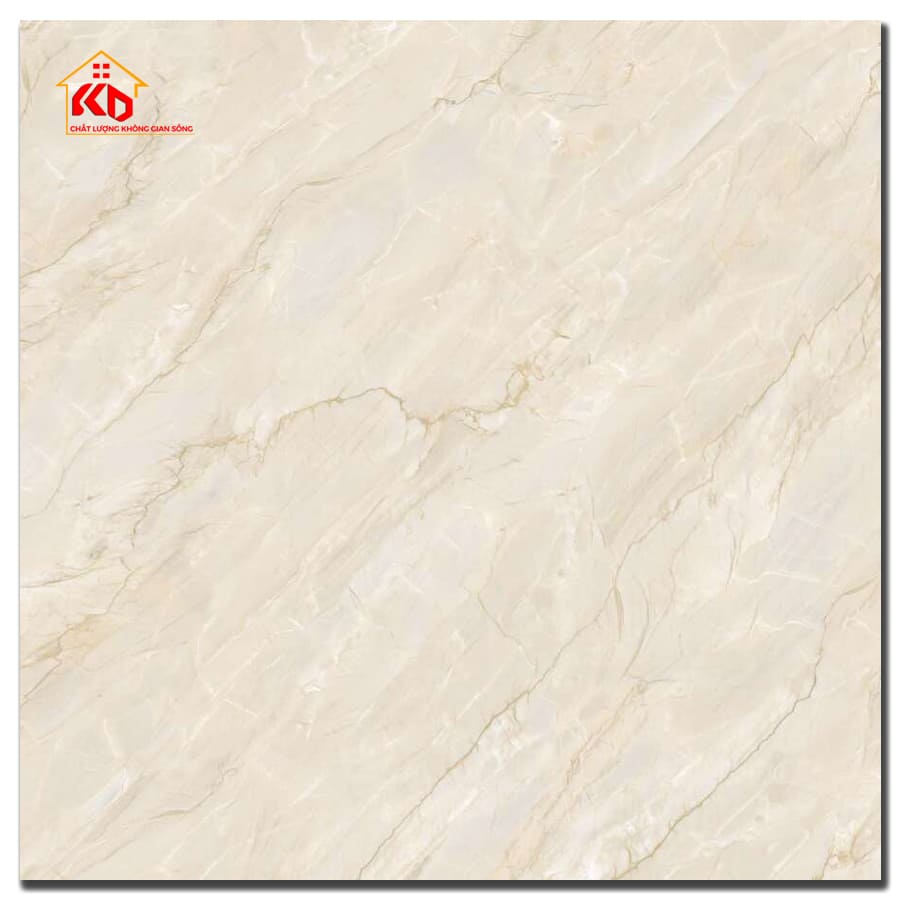 Gạch Viglacera 50x50cm CL-CE501