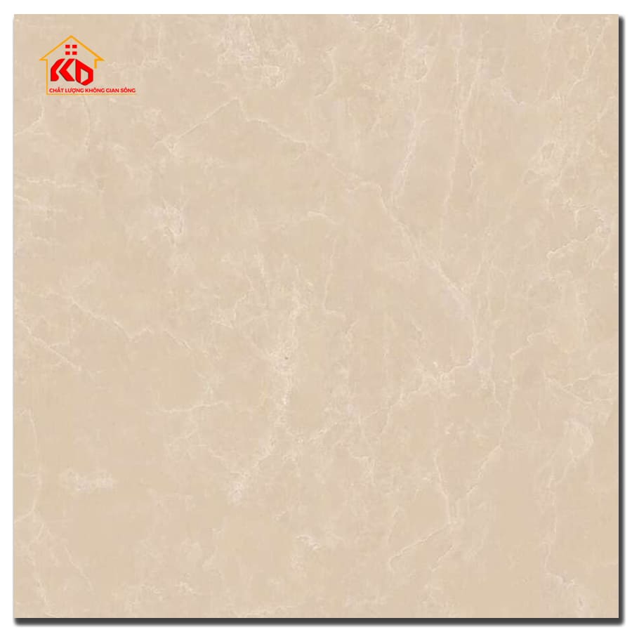 Gạch Viglacera 50x50cm CL-CE504