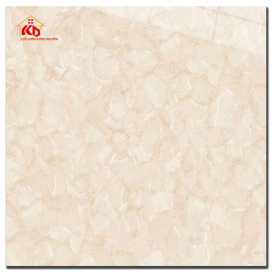 Gạch Viglacera 50x50cm CL-CE505