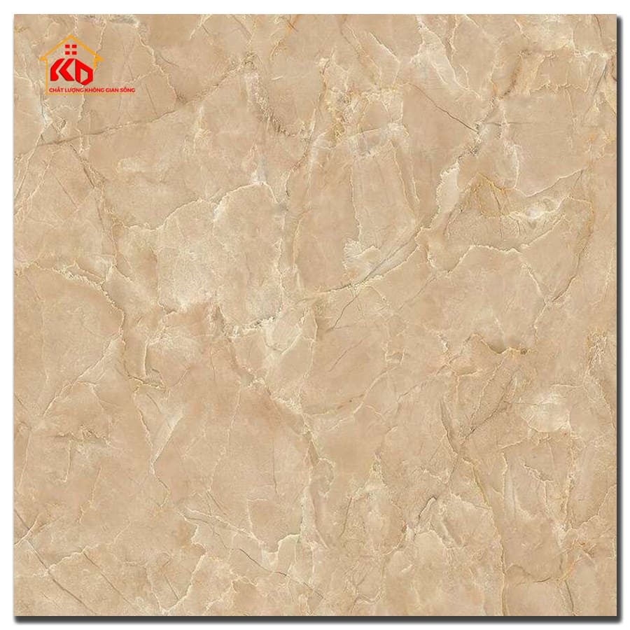 Gạch Viglacera 50x50cm CL-CE507