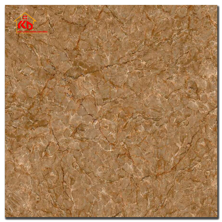 Gạch Viglacera 50x50cm CL-CE509