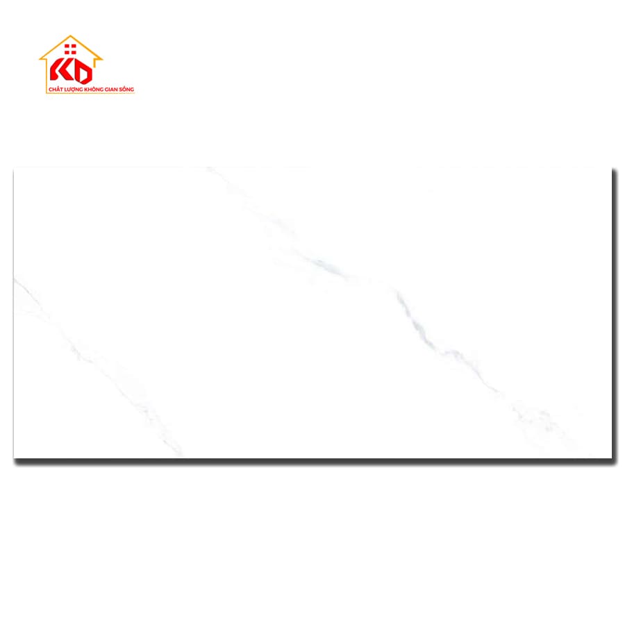 Gạch Viglacera 40x80cm CL1-GP4801