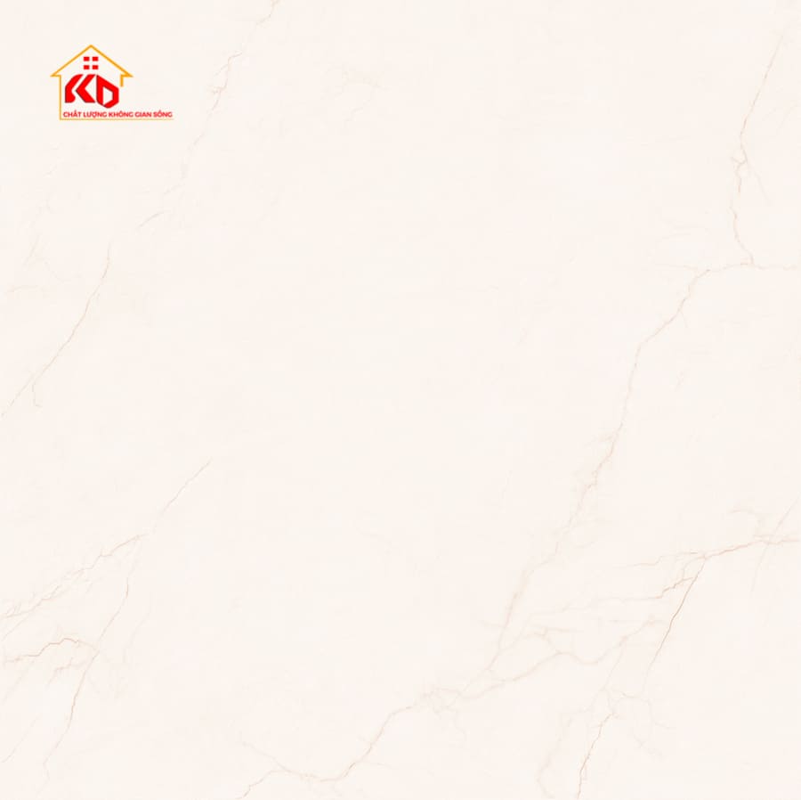 Gạch Eurotile 120x120cm NGG S04P