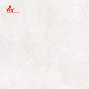 Gạch Eurotile 120x120cm NHC S01H
