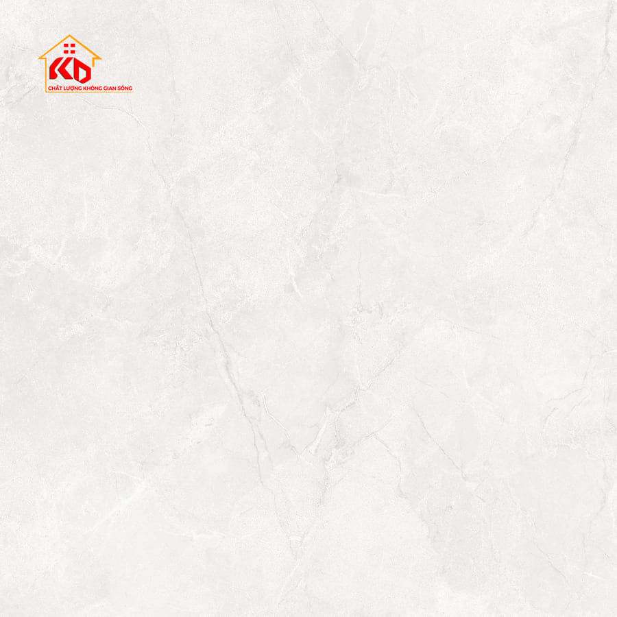 Gạch Eurotile 120x120cm NHC S01H
