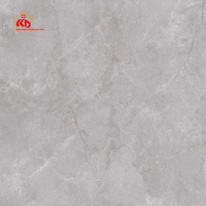 Gạch Eurotile 120x120cm NHC S02M
