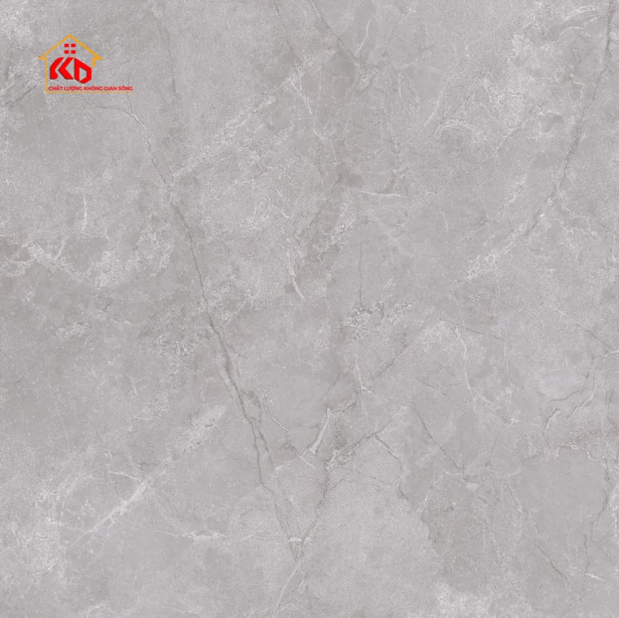 Gạch Eurotile 120x120cm NHC S02M