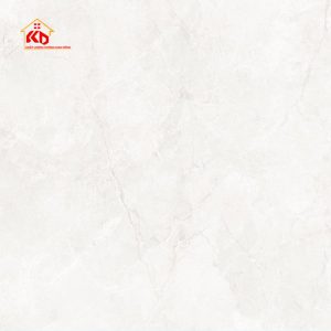 Gạch Eurotile 120x120cm
