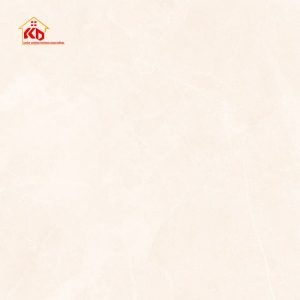 Gạch Eurotile 120x120cm
