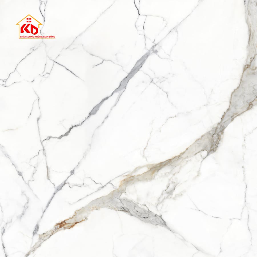 Gạch Eurotile 120x120cm