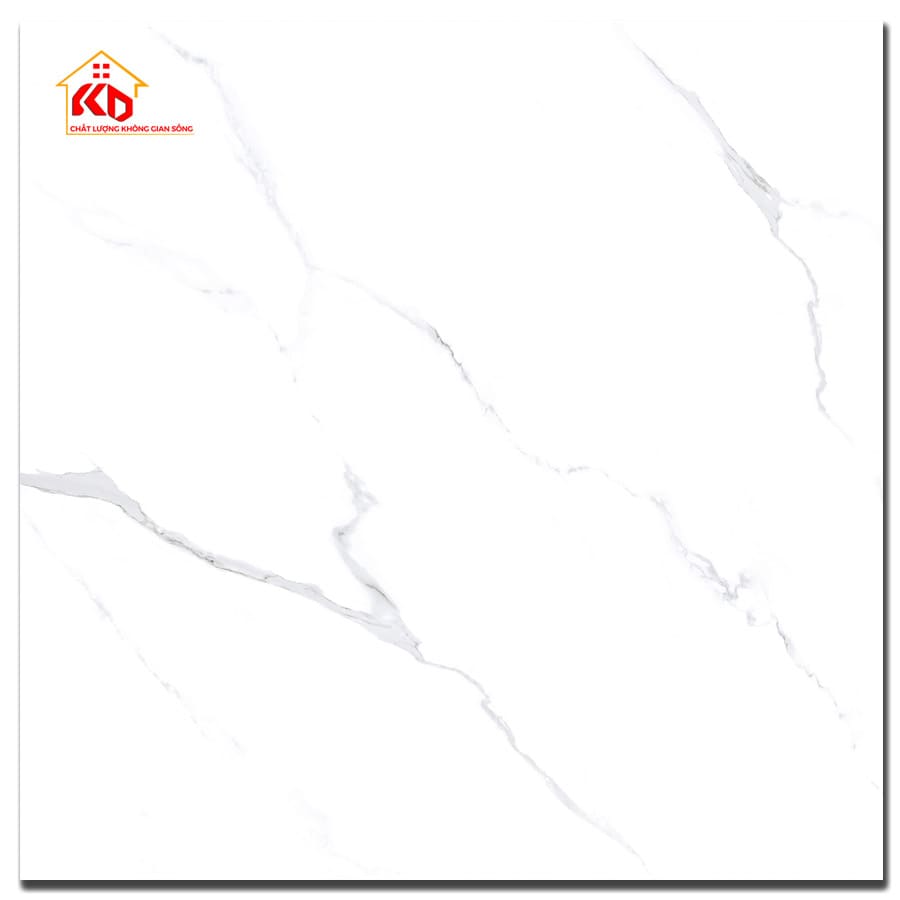 Gạch Viglacera 80x80cm SH1-GP8801