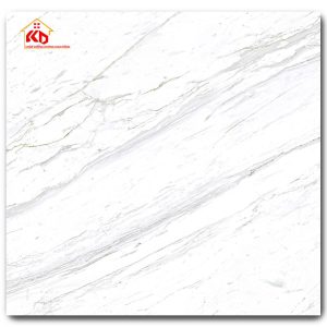 Gạch Eurotile 80x80cm SIG.P-8801