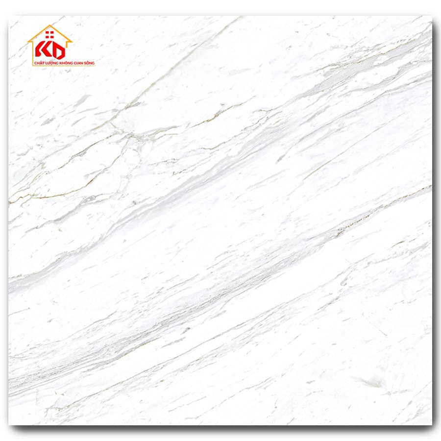 Gạch Eurotile 80x80cm SIG.P-8801