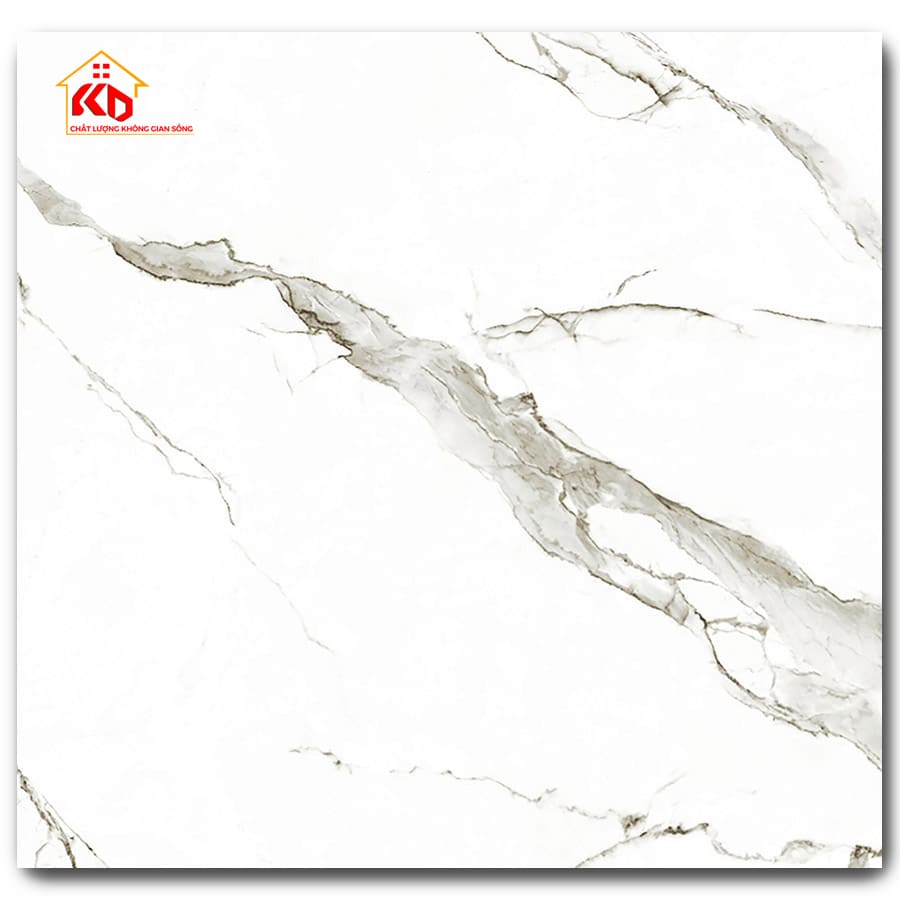Gạch Eurotile 80x80cm SIG.P-8806