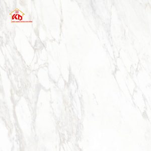 Gạch Eurotile 120x120cm THP S01M