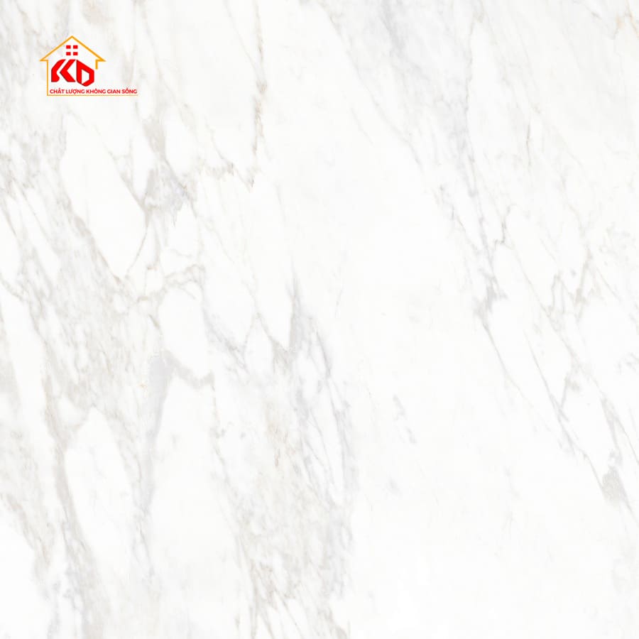 Gạch Eurotile 120x120cm THP S01M