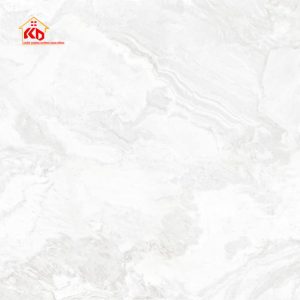 Gạch Eurotile 120x120cm THS S01P