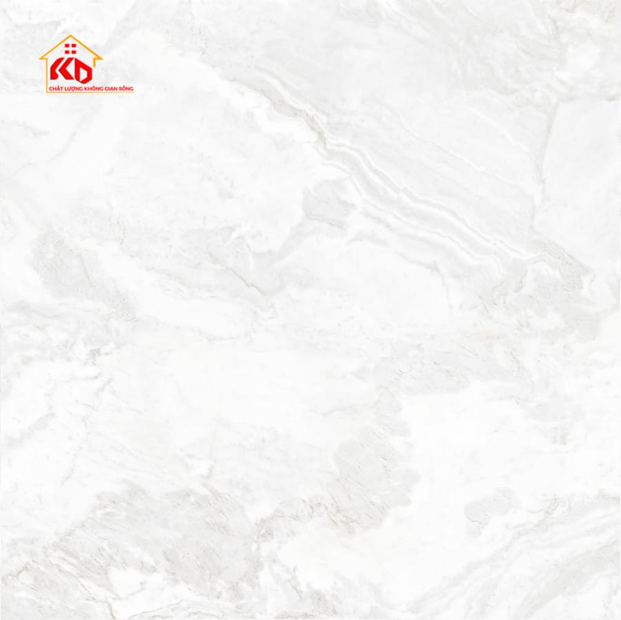 Gạch Eurotile 120x120cm THS S01P