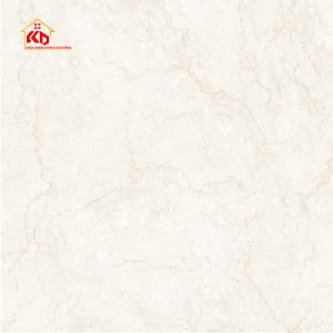 Gạch Eurotile 120x120cm THT S04P