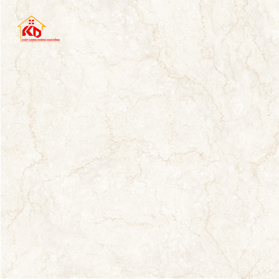 Gạch Eurotile 120x120cm THT S04P