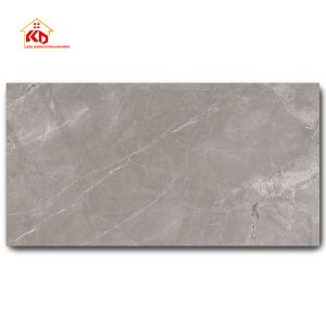Gạch Eurotile 60x120cm TRA Q03