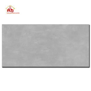 Gạch Viglacera 60x120cm