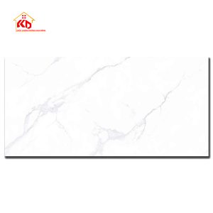 Gạch Viglacera 60x120cm