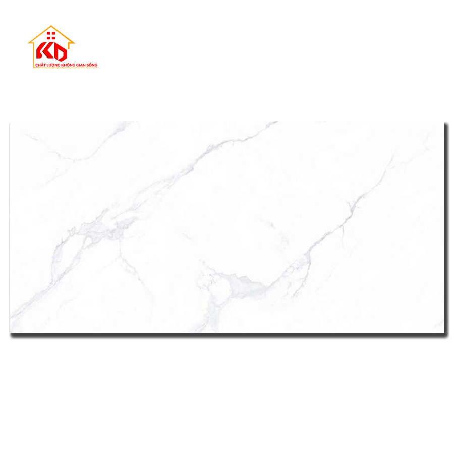 Gạch Viglacera 60x120cm